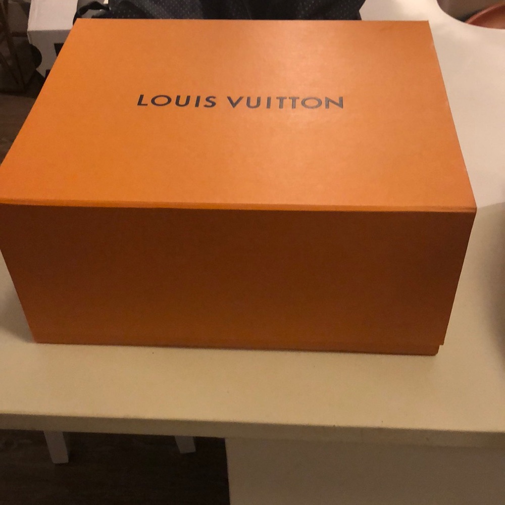 Louis Vuitton storage box